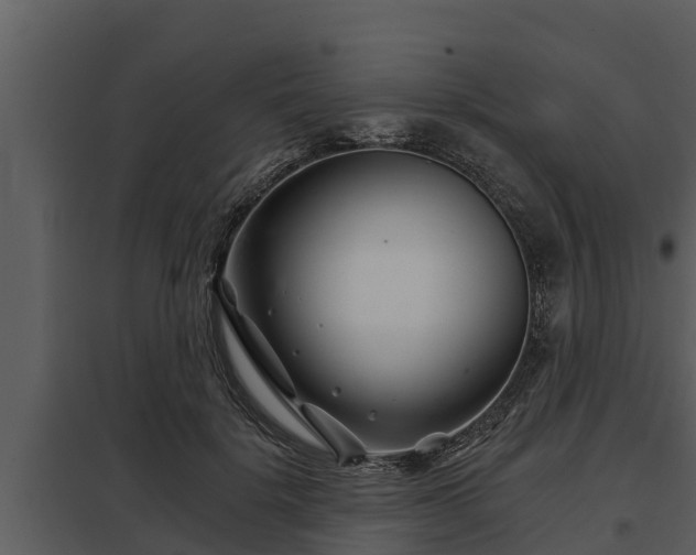 X0000097950652200804011635