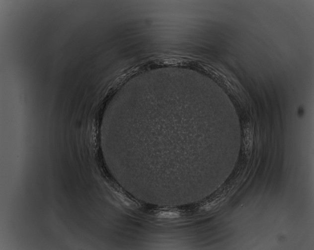 X0000097950653200804011635