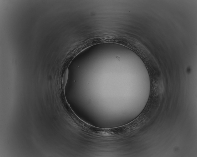 X0000097950654200804011635