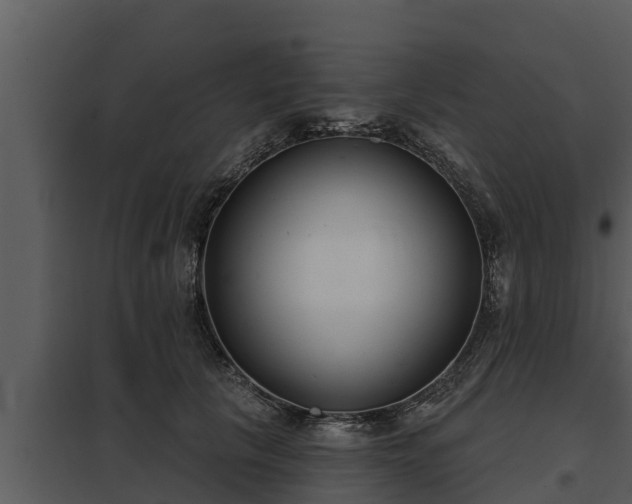 X0000097950657200804011636