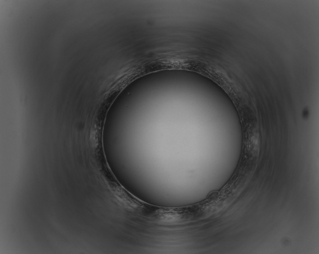 X0000097950658200804011636