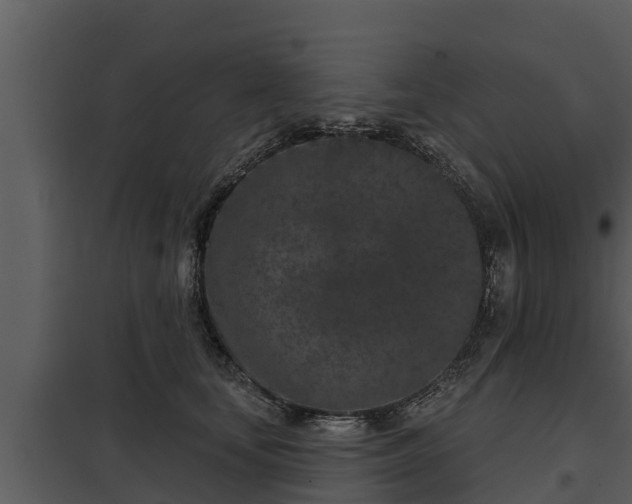 X0000097950659200804011636