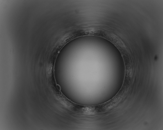 X0000097950660200804011636