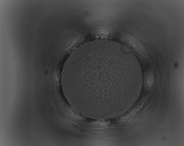 X0000097950661200804011636