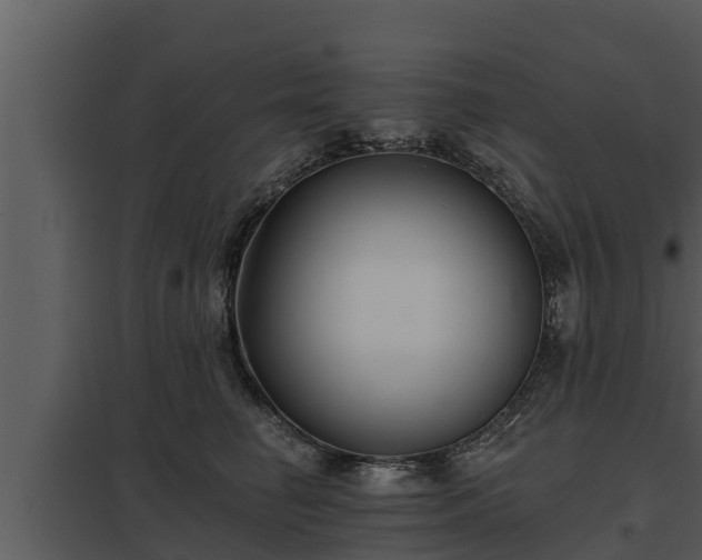 X0000097950662200804011636