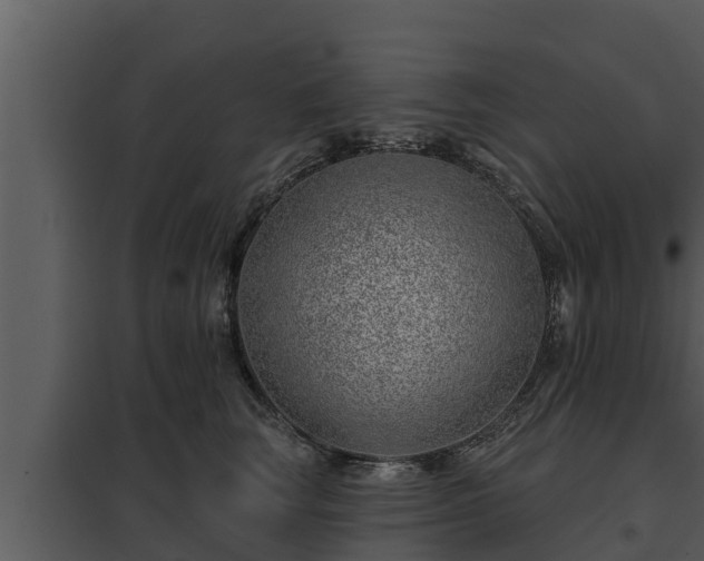 X0000097950663200804011636