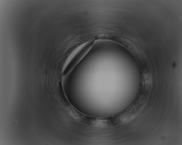 X0000097950664200804011636