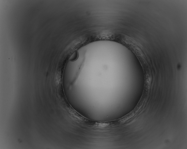 X0000097950665200804011636