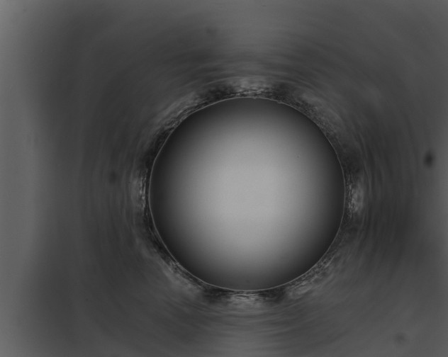X0000097950666200804011636