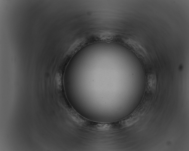 X0000097950667200804011636