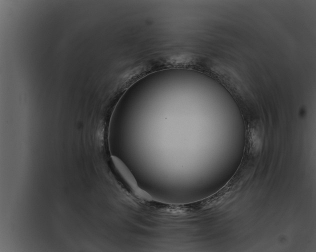 X0000097950668200804011636