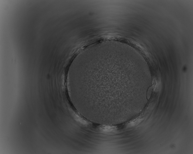 X0000097950670200804011636