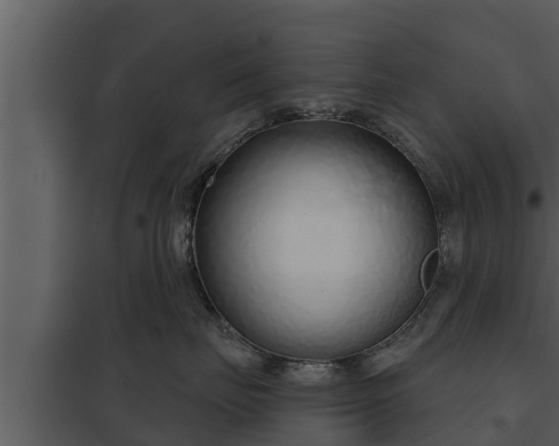 X0000097950671200804011636