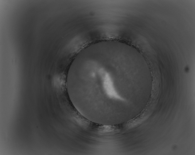X0000097950672200804011636