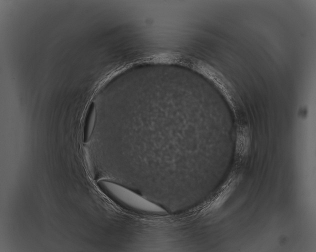X0000097950673200804011635