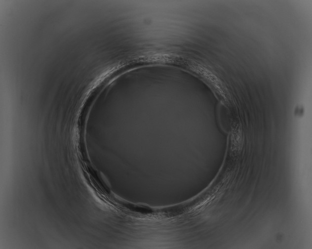 X0000097950674200804011635