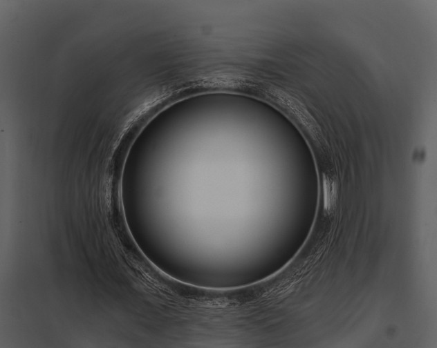X0000097950675200804011635