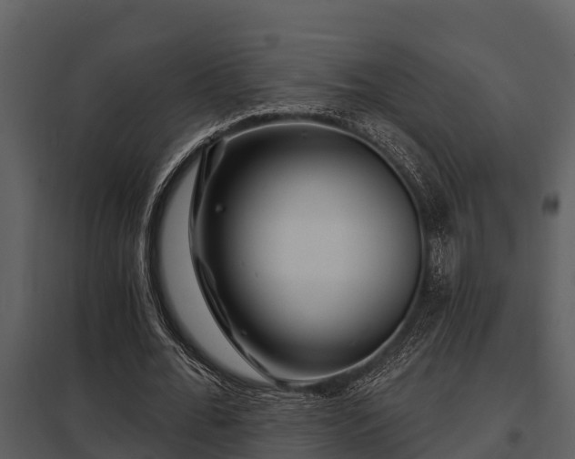X0000097950676200804011635