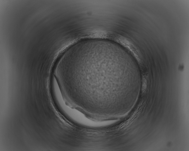 X0000097950677200804011635
