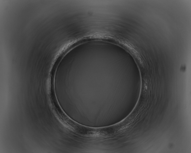 X0000097950678200804011635