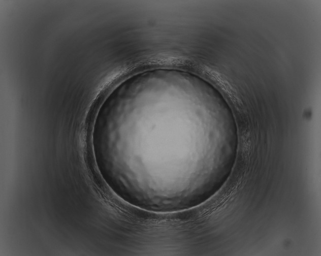 X0000097950679200804011635