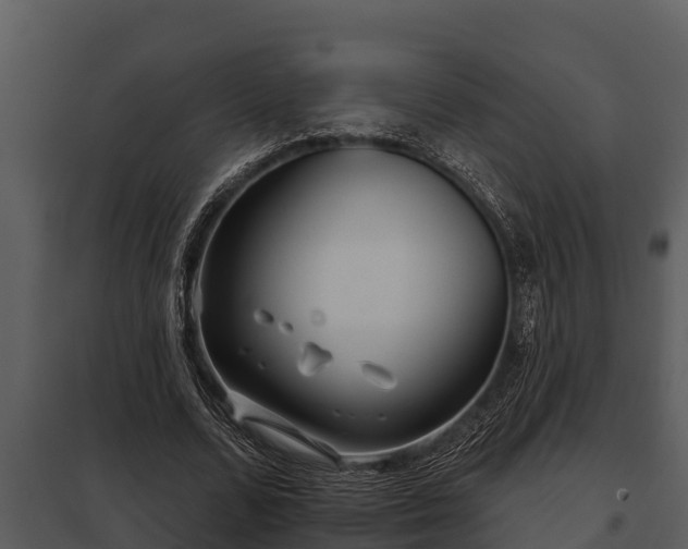 X0000097950680200804011635