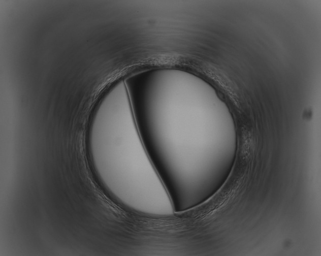 X0000097950681200804011635