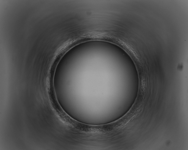 X0000097950682200804011635