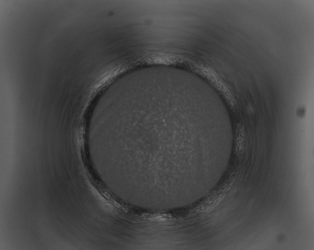 X0000097950683200804011635
