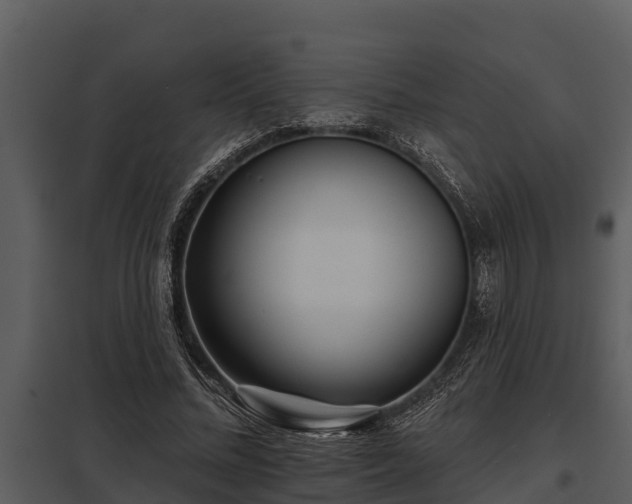 X0000097950684200804011635