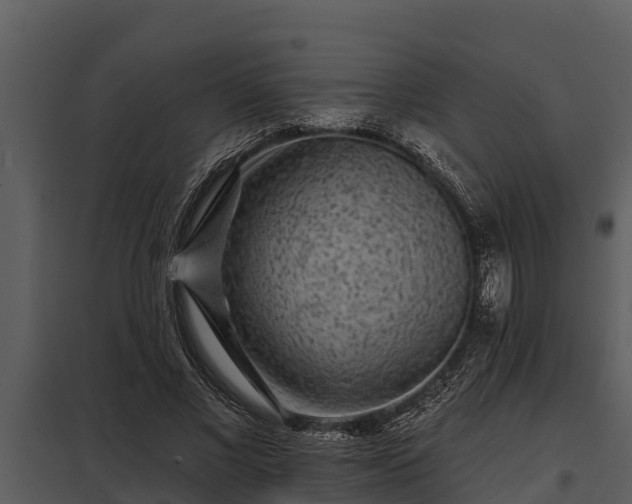 X0000097950685200804011635
