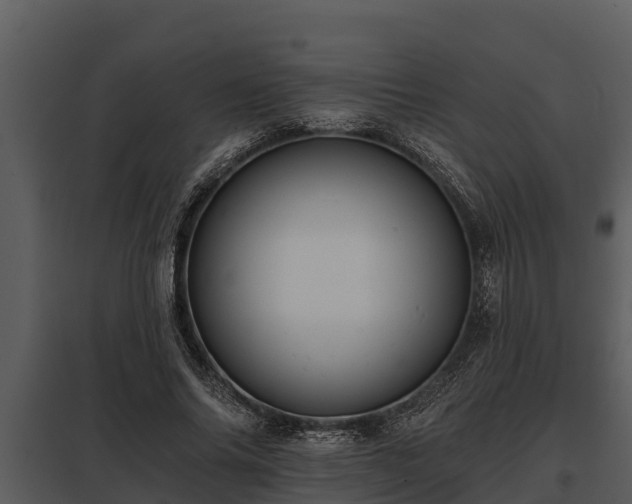X0000097950686200804011635