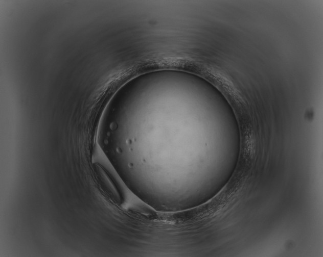 X0000097950687200804011635