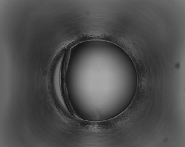 X0000097950688200804011635