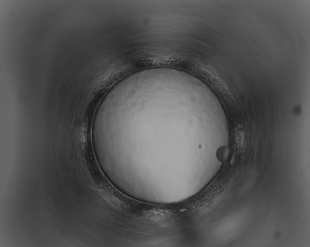 X0000097950691200804011635