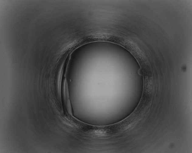 X0000097950692200804011635