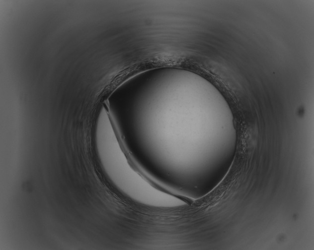 X0000097950693200804011635
