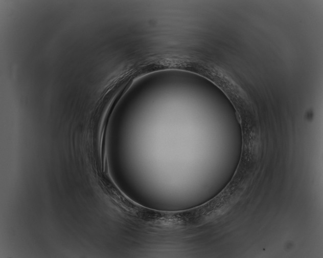 X0000097950696200804011635