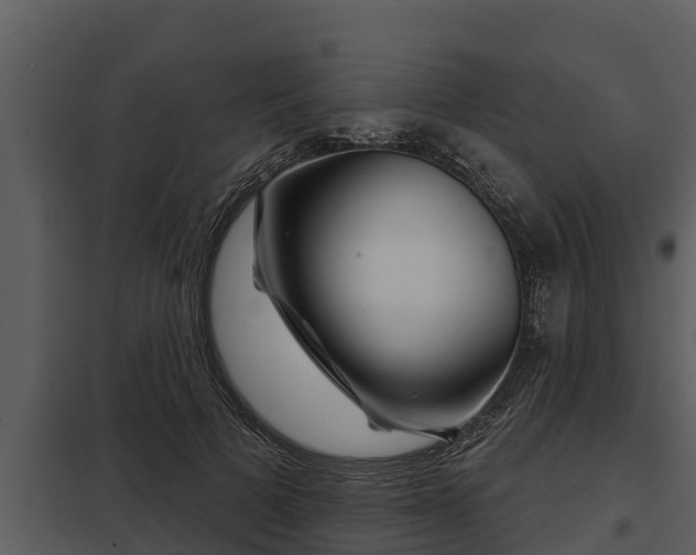 X0000097950697200804011635