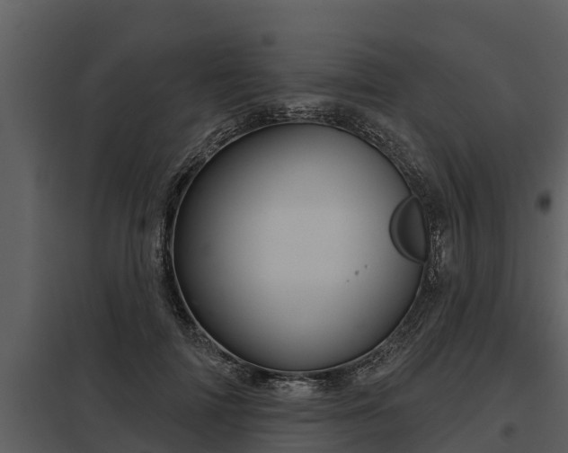 X0000097950698200804011635