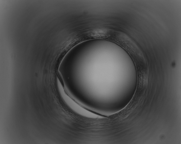 X0000097950700200804011635