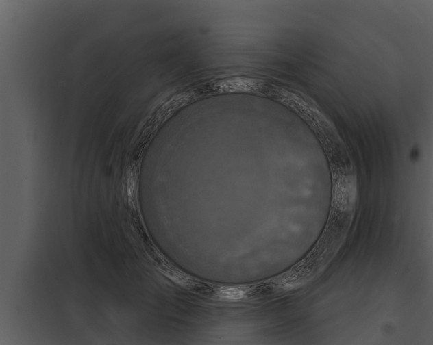 X0000097950701200804011635