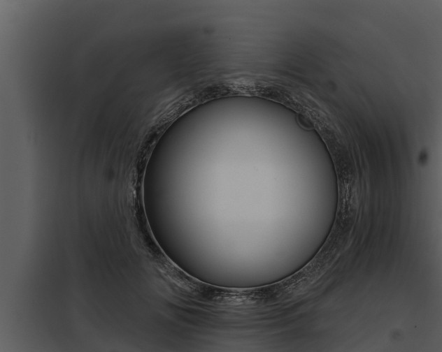 X0000097950702200804011635