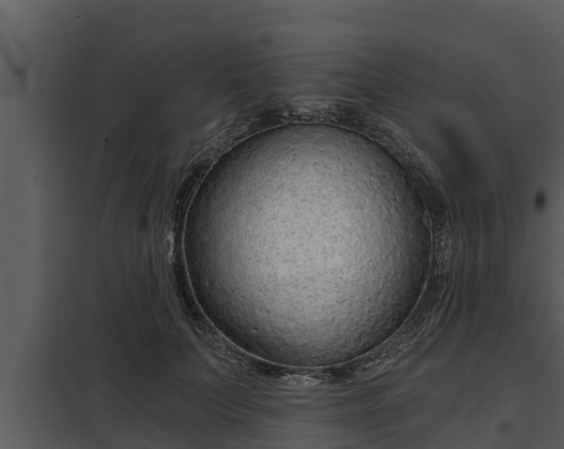 X0000097950703200804011635
