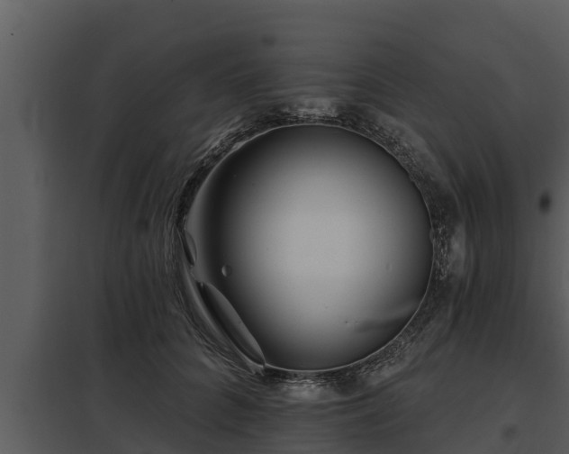 X0000097950704200804011634