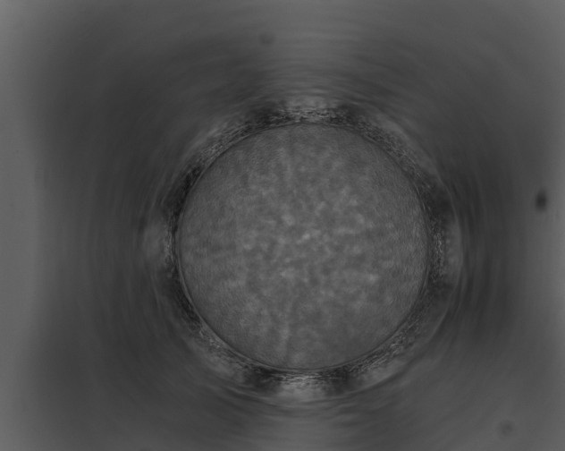 X0000097950705200804011634