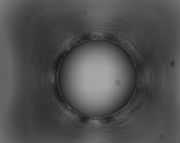 X0000097950706200804011634
