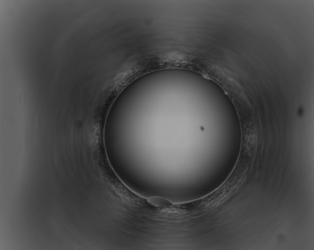 X0000097950708200804011634