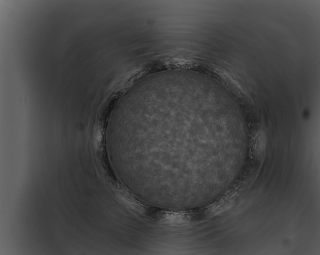 X0000097950709200804011634