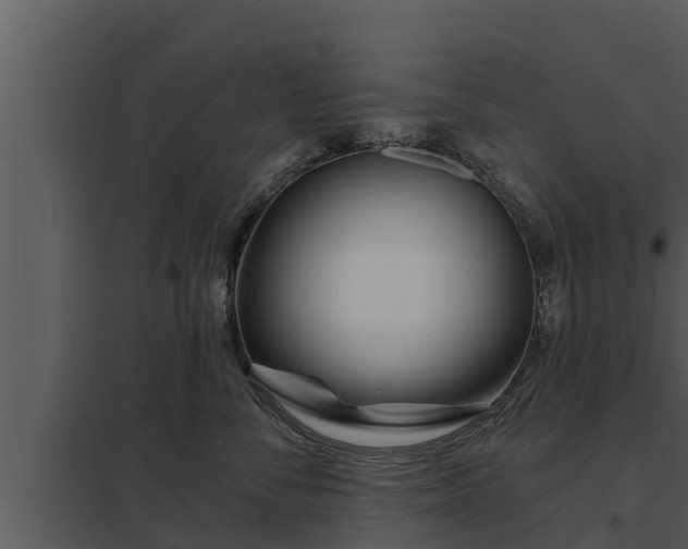 X0000097950716200804011634